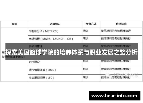 探索美国篮球学院的培养体系与职业发展之路分析